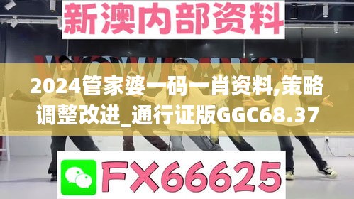 2024管家婆一码一肖资料,策略调整改进_通行证版GGC68.373