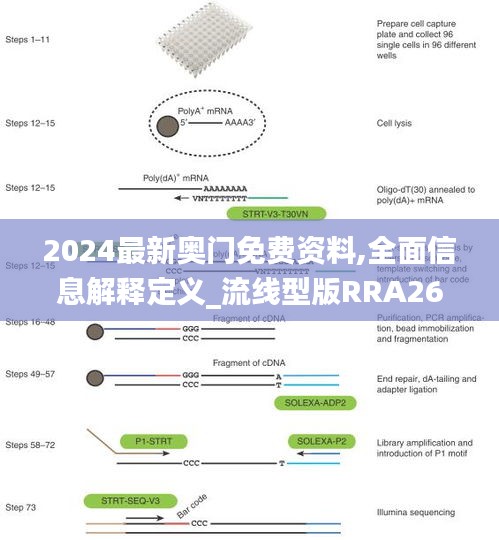 2024最新奥门免费资料,全面信息解释定义_流线型版RRA26.799