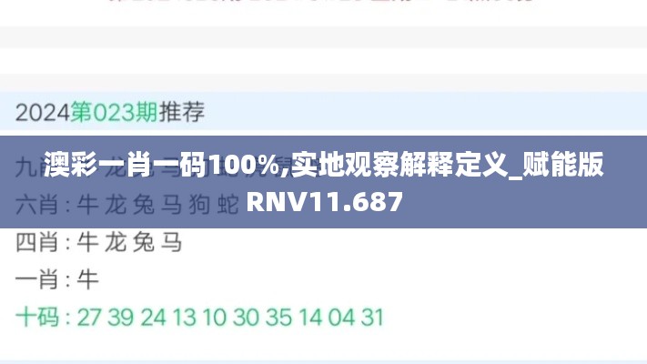 澳彩一肖一码100%,实地观察解释定义_赋能版RNV11.687