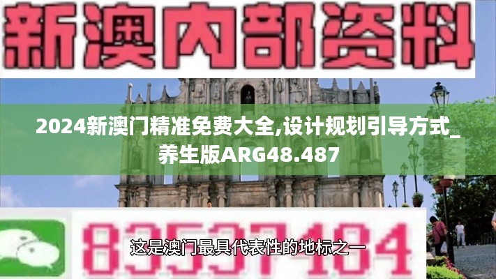 2024新澳门精准免费大全,设计规划引导方式_养生版ARG48.487