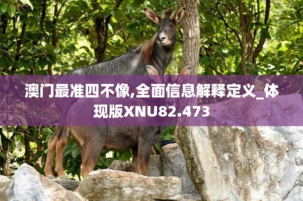 澳门最准四不像,全面信息解释定义_体现版XNU82.473