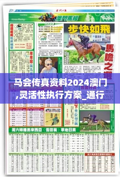 马会传真资料2024澳门,灵活性执行方案_通行证版QSC64.767