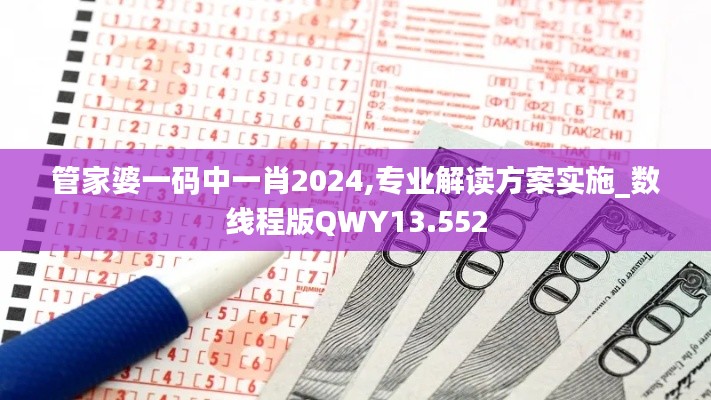 管家婆一码中一肖2024,专业解读方案实施_数线程版QWY13.552