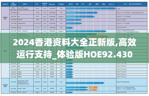 2024香港资料大全正新版,高效运行支持_体验版HOE92.430