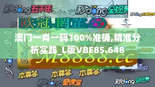 澳门一肖一码100%准确,精准分析实践_L版VBE85.648