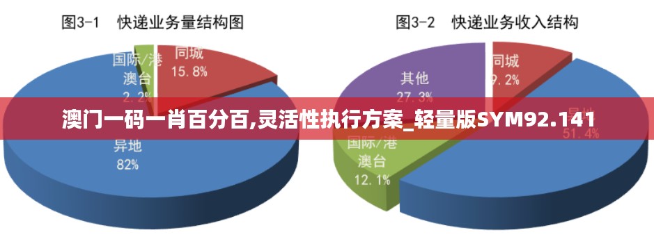 澳门一码一肖百分百,灵活性执行方案_轻量版SYM92.141