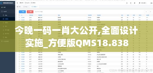 今晚一码一肖大公开,全面设计实施_方便版QMS18.838