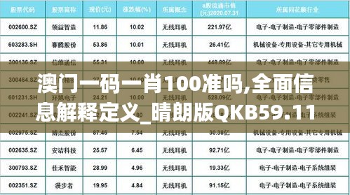 澳门一码一肖100准吗,全面信息解释定义_晴朗版QKB59.118