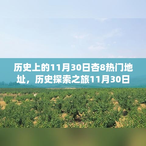 揭秘历史热门地址，跟随历史的脚步探寻杏8的11月30日记忆