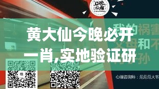 黄大仙今晚必开一肖,实地验证研究方案_父母版ORS16.257