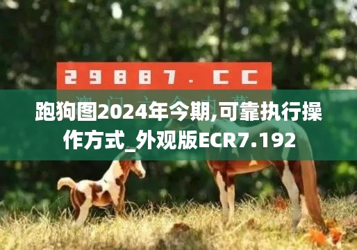 2024年11月 第5页