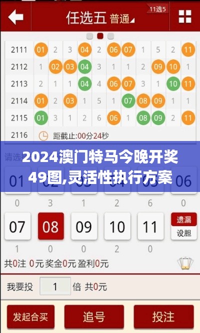 2024澳门特马今晚开奖49图,灵活性执行方案_方案版ZHK69.222