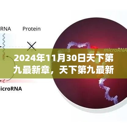 2024年11月30日天下第九最新章节，多维度视角下的深度剖析