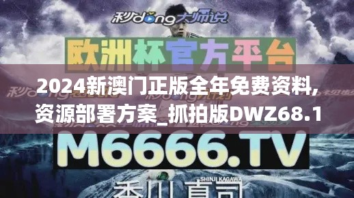 2024新澳门正版全年免费资料,资源部署方案_抓拍版DWZ68.191