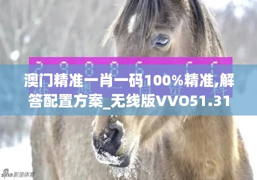 澳门精准一肖一码100%精准,解答配置方案_无线版VVO51.318