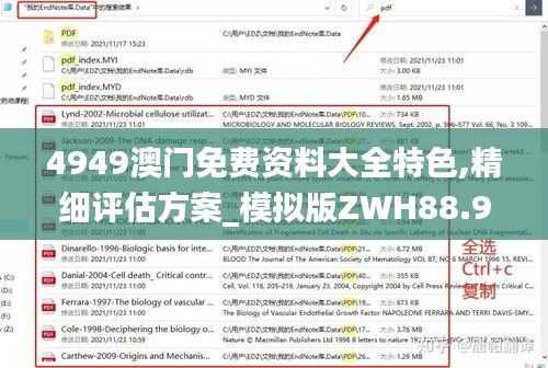 4949澳门免费资料大全特色,精细评估方案_模拟版ZWH88.932