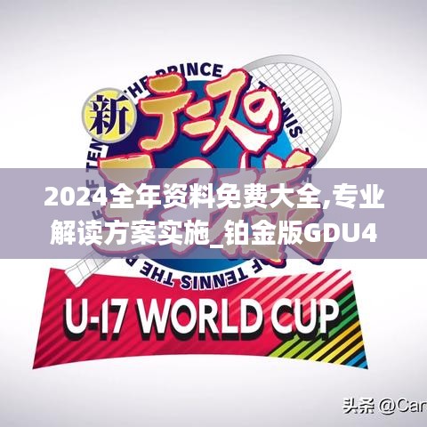 2024全年资料免费大全,专业解读方案实施_铂金版GDU44.253