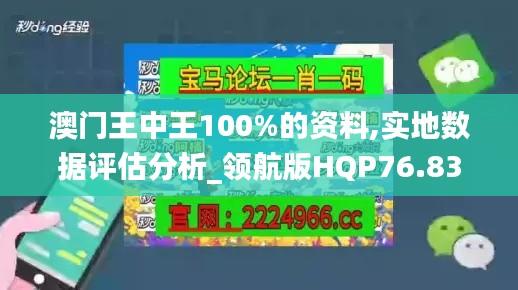 澳门王中王100%的资料,实地数据评估分析_领航版HQP76.833