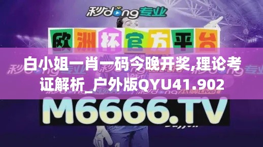 白小姐一肖一码今晚开奖,理论考证解析_户外版QYU41.902