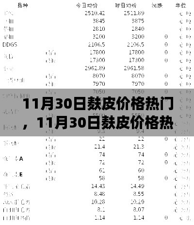 2024年12月1日 第110页