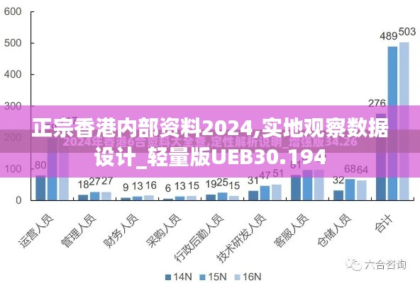 正宗香港内部资料2024,实地观察数据设计_轻量版UEB30.194