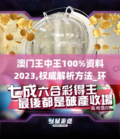 澳门王中王100%资料2023,权威解析方法_环保版MFX14.255