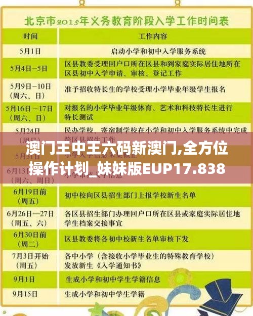 澳门王中王六码新澳门,全方位操作计划_妹妹版EUP17.838