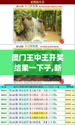 澳门王中王开奖结果一下子,新技术推动方略_深度版WSF80.379