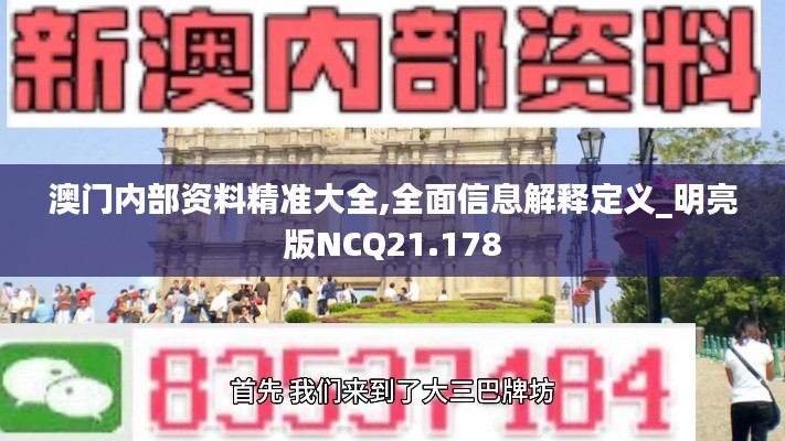 澳门内部资料精准大全,全面信息解释定义_明亮版NCQ21.178