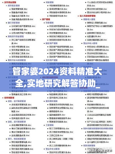 管家婆2024资料精准大全,实地研究解答协助_云端共享版RQP49.444