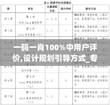 一码一肖100%中用户评价,设计规划引导方式_专门版JDH45.457