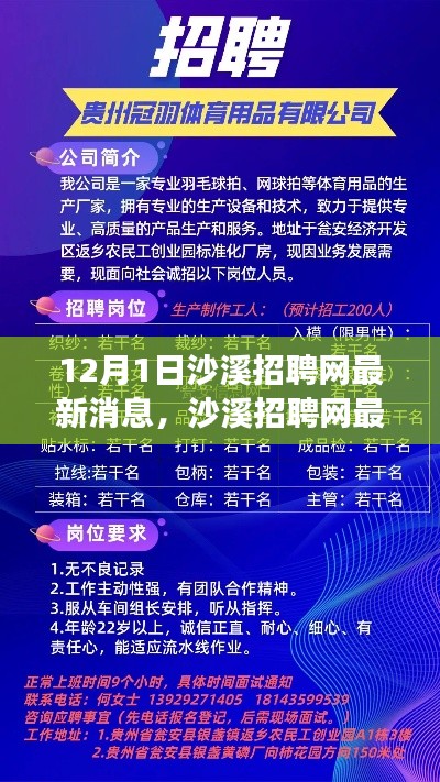 沙溪招聘网最新动态，与自然共舞的心灵之旅启动