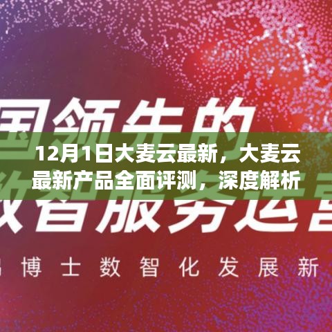 大麦云最新产品全面评测，特性、用户体验与目标用户解析