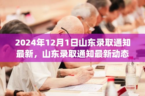 2024年12月1日山东录取通知最新动态，里程碑事件揭晓