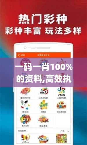 一码一肖100%的资料,高效执行方案_创意版XYB72.774