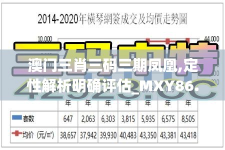 澳门三肖三码三期凤凰,定性解析明确评估_MXY86.649时空版