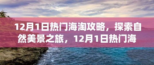 12月1日热门海淘攻略，探索自然美景之旅，寻找内心宁静与喜悦