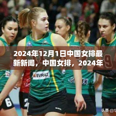 中国女排见证荣耀时刻，2024年12月1日最新报道