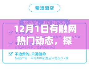 探寻自然秘境，有融网热门动态的心灵之旅（12月1日）