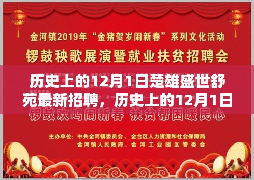 历史上的12月1日楚雄盛世舒苑最新招聘全解析，从入门到进阶的双重指南