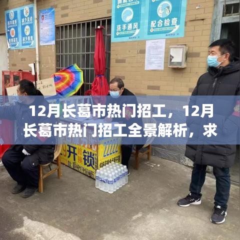 长葛市十二月热门招工全景解析，求职招聘热门岗位与趋势分析