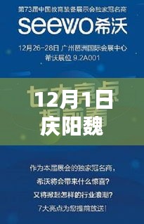 2024年12月1日 第13页