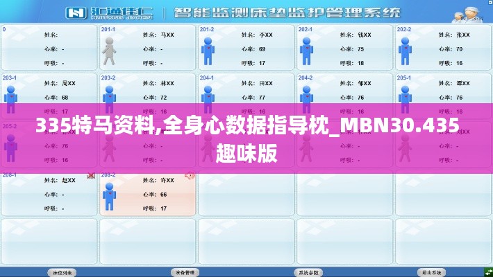 335特马资料,全身心数据指导枕_MBN30.435趣味版