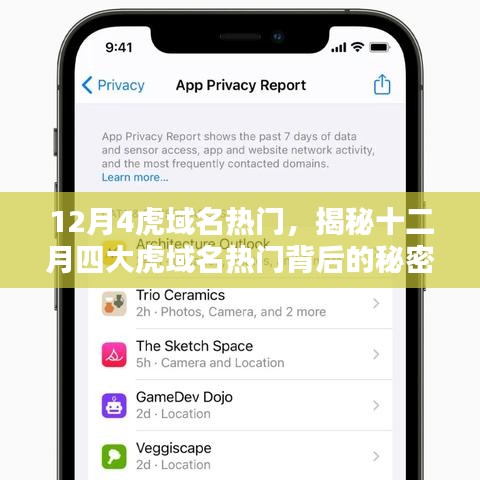 揭秘十二月四大虎域名热门背后的秘密与极致魅力！
