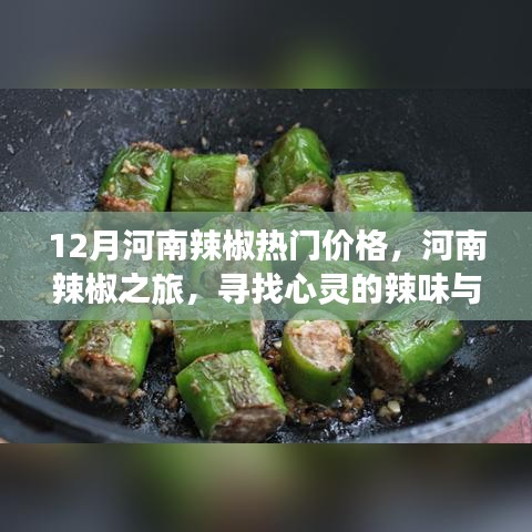 河南辣椒之旅，探寻热门价格与心灵辣味，感受自然宁静的魅力