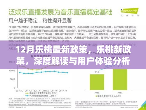 乐桃新政深度解读与用户体验分析，12月最新政策解析