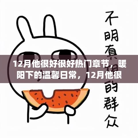 暖阳下的温馨日常，12月他很好的暖心故事