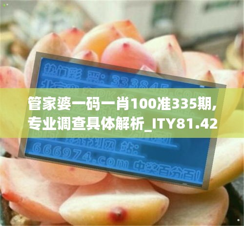 管家婆一码一肖100准335期,专业调查具体解析_ITY81.420影视版