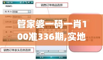 管家婆一码一肖100准336期,实地观察解释定义_OAS63.527共享版