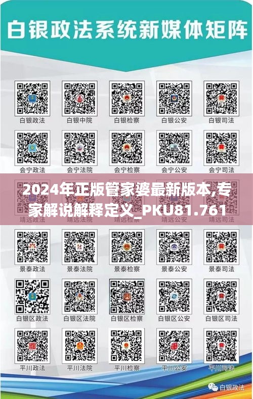 2024年正版管家婆最新版本,专家解说解释定义_PKU81.761授权版